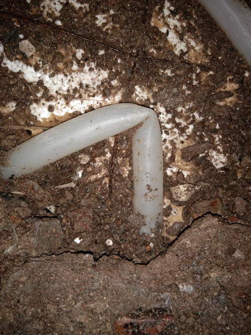 兴文堵点精准查找